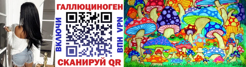 закладка  Цивильск  Псилоцибиновые грибы прущие грибы 